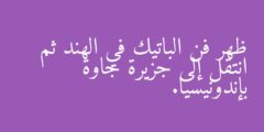 ظهر فن الباتيك في الهند ثم انتقل إلى جزيرة جاوة بإندونيسيا.
