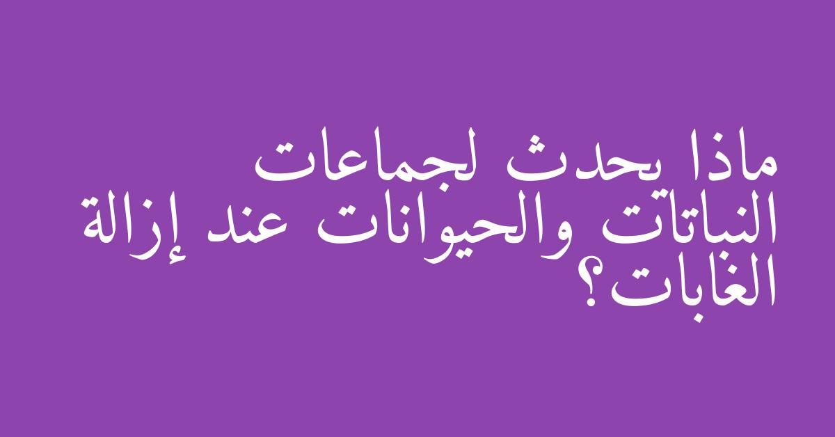 ماذا يحدث لجماعات النباتات والحيوانات عند إزالة الغابات؟