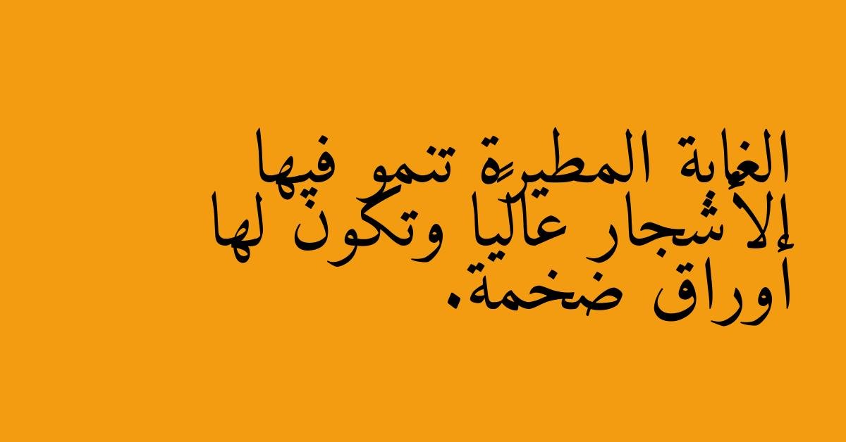 الغابة المطيرة تنمو فيها الأشجار عاليًا وتكون لها أوراق ضخمة.