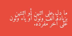 ما دل على اثنين أو اثنتين بزيادة ألف ونون أو ياء ونون على آخر مفرده.
