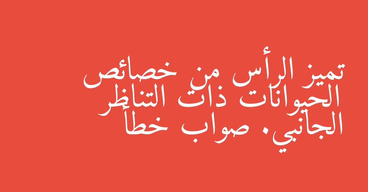 تميز الرأس من خصائص الحيوانات ذات التناظر الجانبي. صواب خطأ