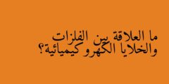 ما العلاقة بين الفلزات والخلايا الكهروكيميائية؟