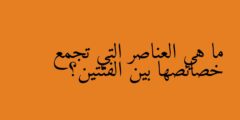 ما هي العناصر التي تجمع خصائصها بين الفئتين؟