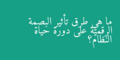 ما هي طرق تأثير البصمة الرقمية على دورة حياة النظام؟